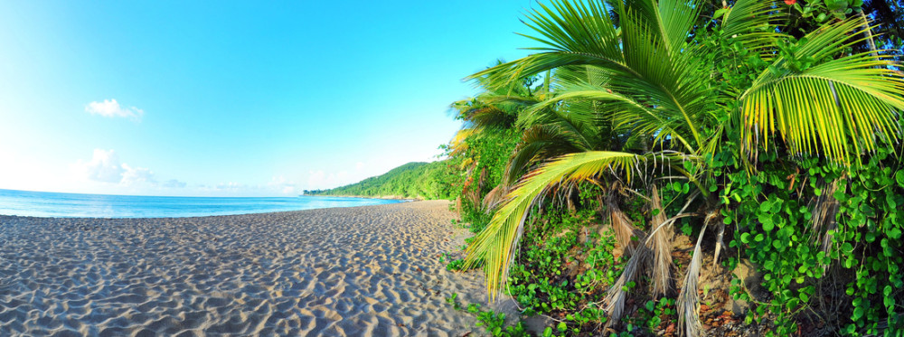 Location Vacances Guadeloupe