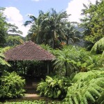promener vous en martinique