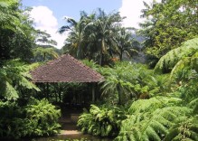 Les sites qui méritent un détour en Martinique